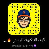 لايف العنكبوت الرسمي Live Al3nkbot