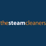 The Steam Cleaners