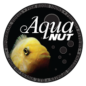 AQUA NUT