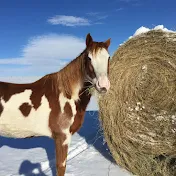 Guy in WY