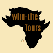 Wild-Life Tours Africa