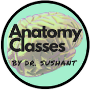 Anatomy Classes by Dr. Sushant