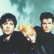 The Primitives