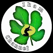 Ikam Channel