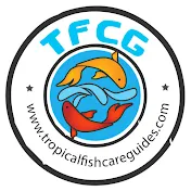 Tropical Fish Care Guides