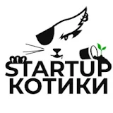 Startup Kotiki