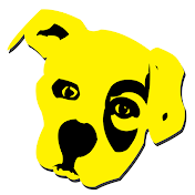Big Yellow Dog Music