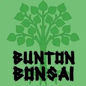 Bunton Bonsai
