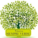 VIVERO SIEMPRE VERDE