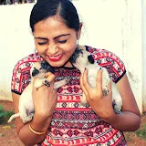 Chittamma Telugu Vlogs