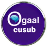 Ogaal cusub