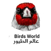 Birds World عالم الطيور