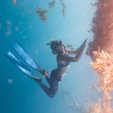 Trident Freedivers Barbados