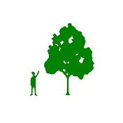 Christopher Hoare Tree Services Ltd