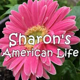 Sharon's北美生活 North American Life