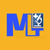 MLTLab Manual