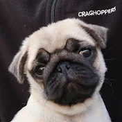 That Pug Pablo & Co