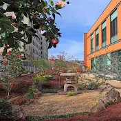 UCSF Osher Center for Integrative Health