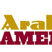 Arab America