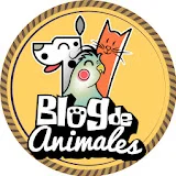 Blog de Animales