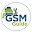 Gsm Guide