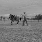 Doherty Ranch