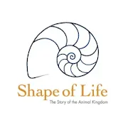 Shape of Life