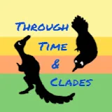 Through Time And Clades