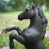 Schleich Horse Lover 200