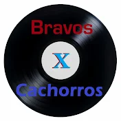 bravosXcachorros