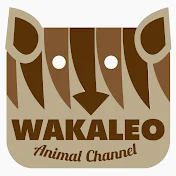 Wakaleo