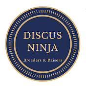 Discus Ninja