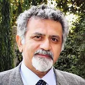 Prof. Hassan Amin