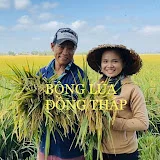 Bông Lúa Đồng Tháp