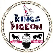 KING'S PIGEON JEET THAKUR