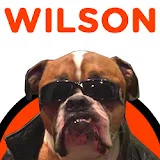 Wilson the Bulldog