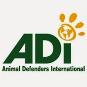 Animal Defenders International