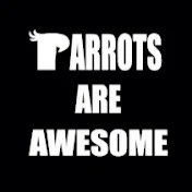 Parrots are Awesome