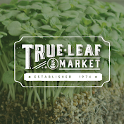 True Leaf Market