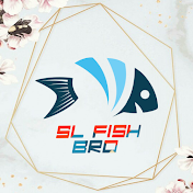 SL Fish Bro