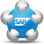 SAP MM Consultant