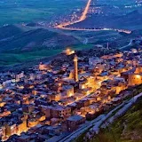 Arab Mardin