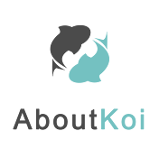 AboutKoi