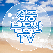 성중부동산tv