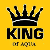 King Of Aqua