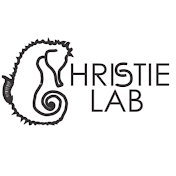 CHRISTIE LAB