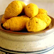 wildturmeric