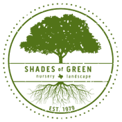 ShadesofGreenTX