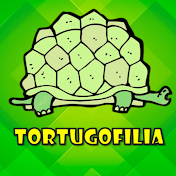 Tortugofilia