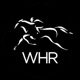 World Horse Racing